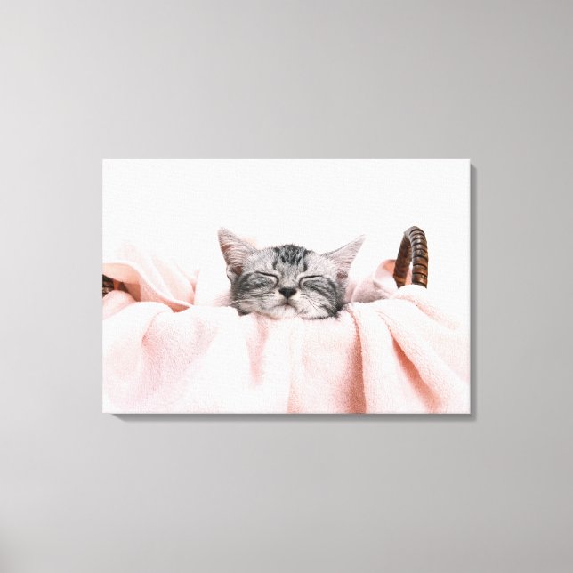American Shorthair 9 Canvas Print (Front)