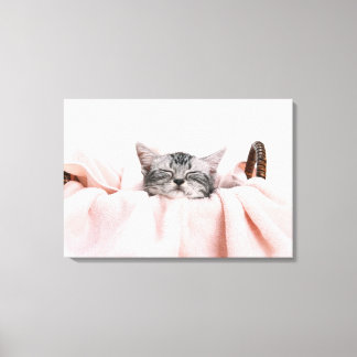 American Shorthair 9 Canvas Print