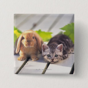 American Shorthair & Bunny 15 Cm Square Badge