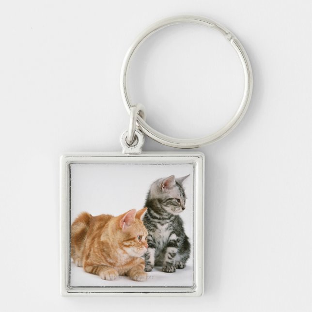 American Shorthair Cat 2 Key Ring (Front)