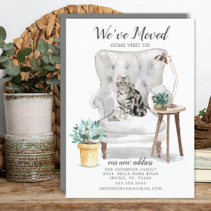 American Shorthair Cat Moving Announcement