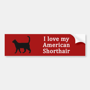 American Shorthair Love Bumper Sticker
