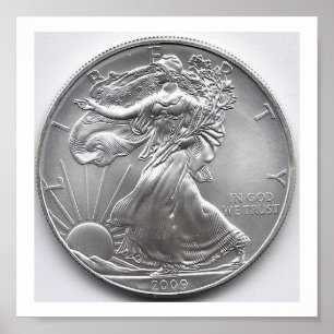 American Silver Eagle Wall Art