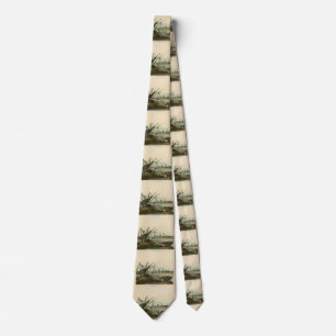 American Snipe (Wilson) Audubon's Birds of America Tie