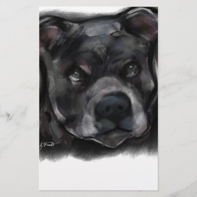 American Staffordshire Terrier (Front)