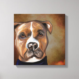 AMERICAN STAFFORDSHIRE TERRIER  CANVAS PRINT