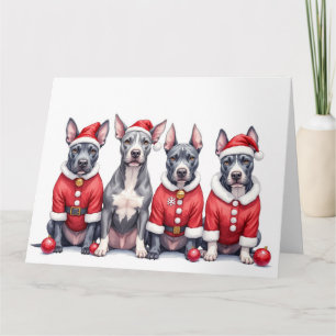 American Staffordshire Terrier Christmas Dress Card
