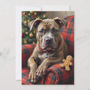 American Staffordshire Terrier Cosy Christmas Holiday Card