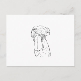 American Staffordshire Terrier Illustration Postcard