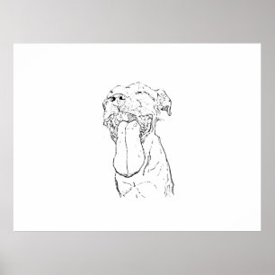 American Staffordshire Terrier Illustration Poster