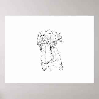 American Staffordshire Terrier Illustration Poster