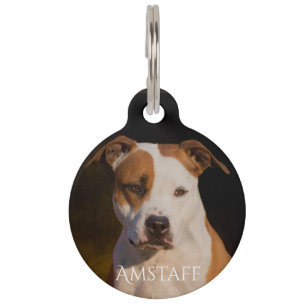 American Staffordshire Terrier Pet Tag