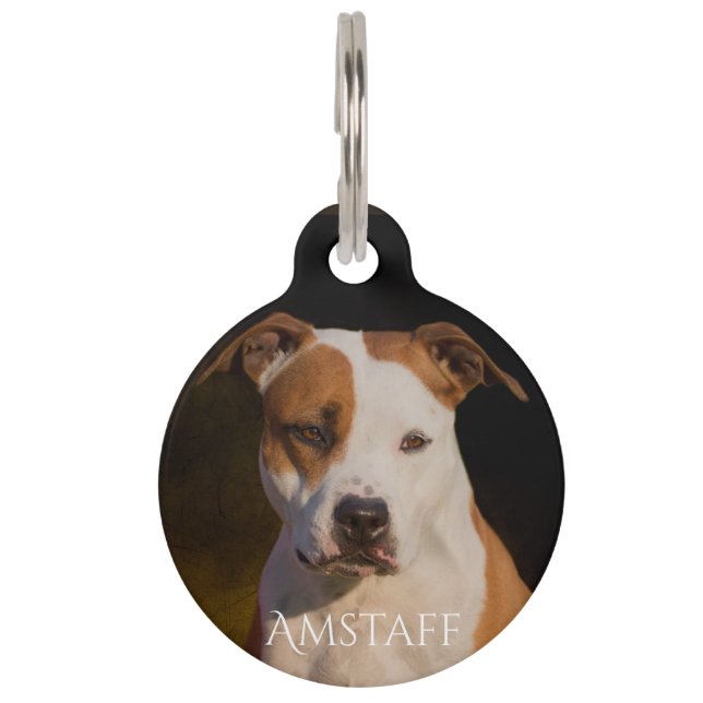 American Staffordshire Terrier Pet Tag (Front)