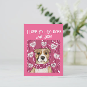 AMERICAN STAFFORDSHIRE TERRIER POSTCARD