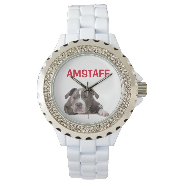 American Staffordshire Terrier Puppy Dog - Amstaff Watch (Front)