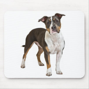 American Staffordshire Terrier Puppy Dog Mousepad