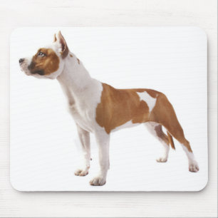 American Staffordshire Terrier Puppy Dog Mousepad