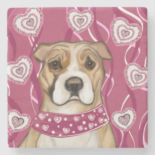 AMERICAN STAFFORDSHIRE TERRIER STONE COASTER