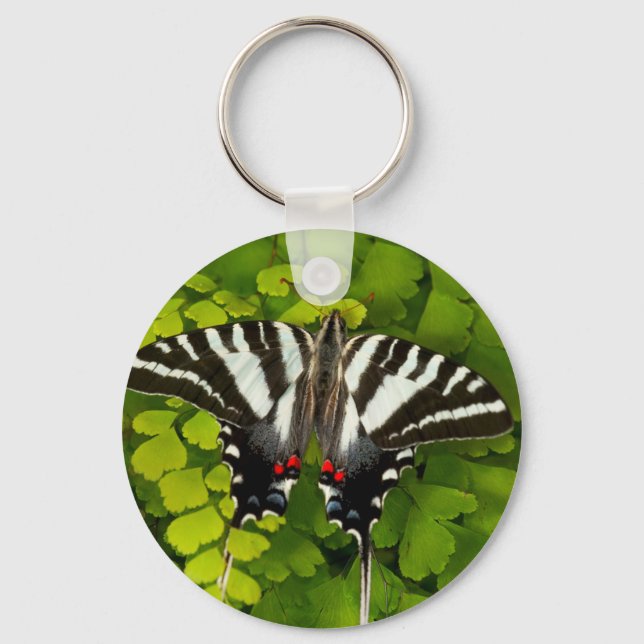 American Swallowtail Butterfly Key Ring (Front)