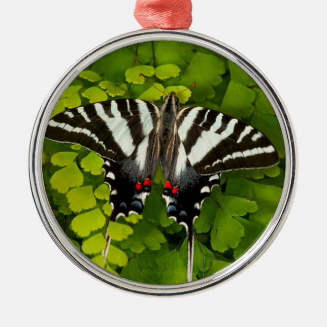 American Swallowtail Butterfly Metal Tree Decoration (Front)