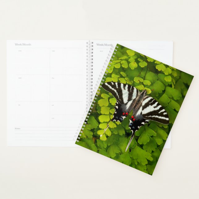 American Swallowtail Butterfly Planner (Display)
