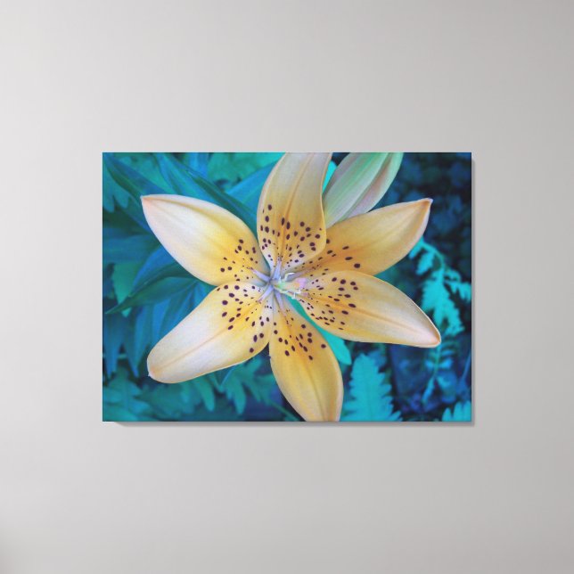 American Tiger Lily Canvas Print (Front)