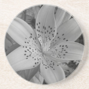 American Tiger Lily Coaster