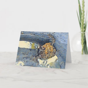 American Toad Blank All Occasions Card