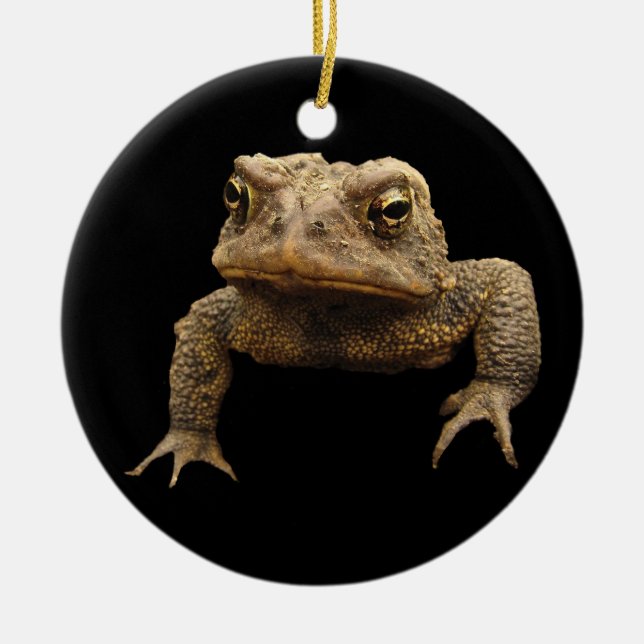 American Toad Ceramic Tree Decoration (Front)
