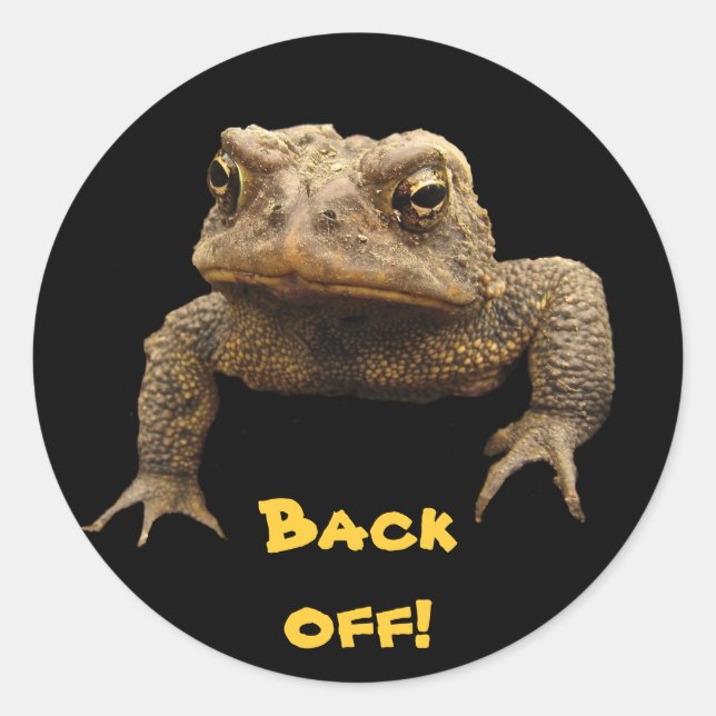 American Toad Classic Round Sticker (Front)