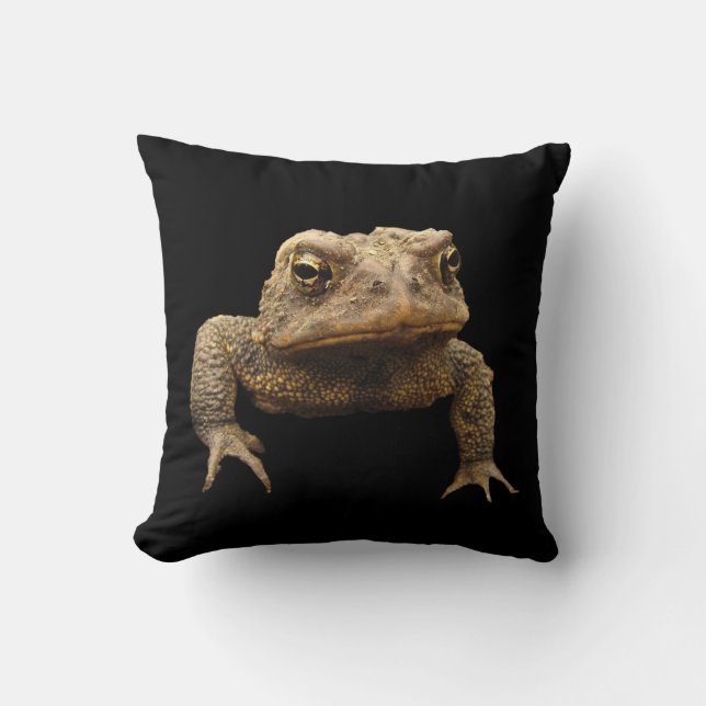 American Toad Cushion (Front)