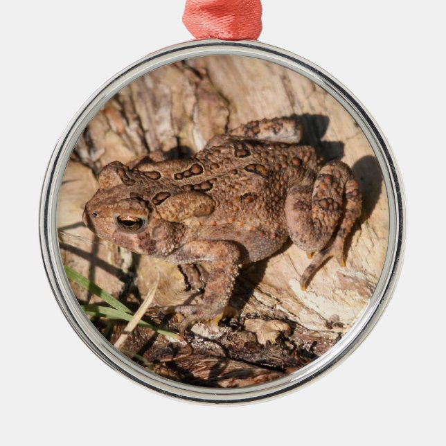 American Toad Metal Tree Decoration (Front)