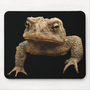 American Toad Mouse Pad