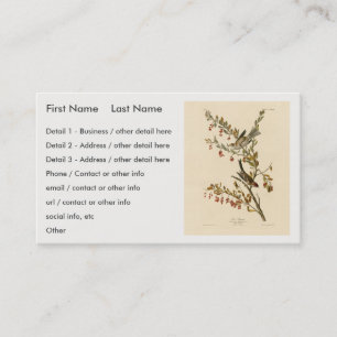 American Tree Sparrow, Audubon's Birds of America Business Card