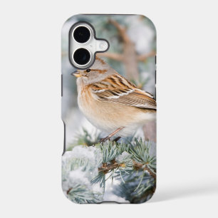 American Tree Sparrow in winter