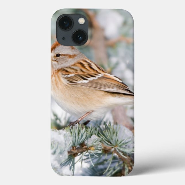 American Tree Sparrow in winter Case-Mate iPhone Case (Back)
