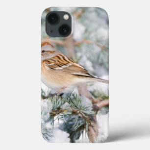 American Tree Sparrow in winter iPhone 13 Case