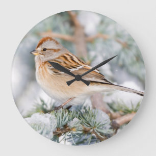 American Tree Sparrow in winter Large Clock
