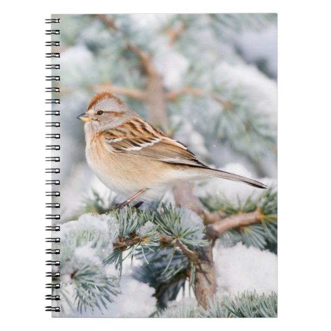 American Tree Sparrow in winter Notebook (Front)