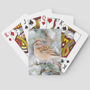 American Tree Sparrow in winter Playing Cards