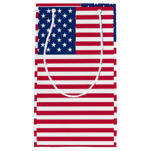 American USA Flag Pride Design Small Gift Bag