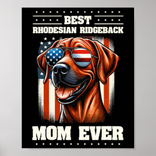 American Usa Flag Rhodesian Ridgeback 4th Of July  Poster