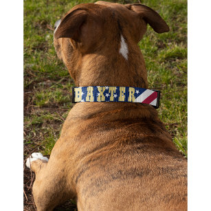 American USA Flag Stars Stripes Dog Puppy Name Pet Collar