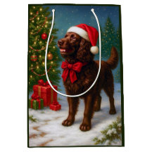 American Water Spaniel Holiday