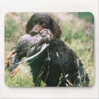 American Water Spaniel Mousepad