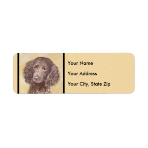 American Water Spaniel Painting - Original Dog Art