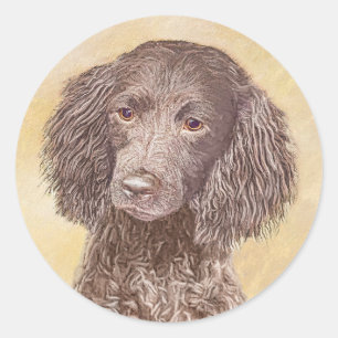 American Water Spaniel Painting - Original Dog Art Classic Round Sticker