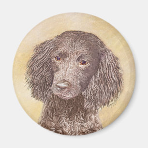 American Water Spaniel Painting - Original Dog Art Magnet