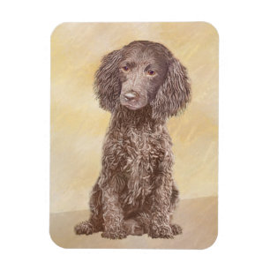 American Water Spaniel Painting - Original Dog Art Magnet