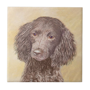 American Water Spaniel Painting - Original Dog Art Tile